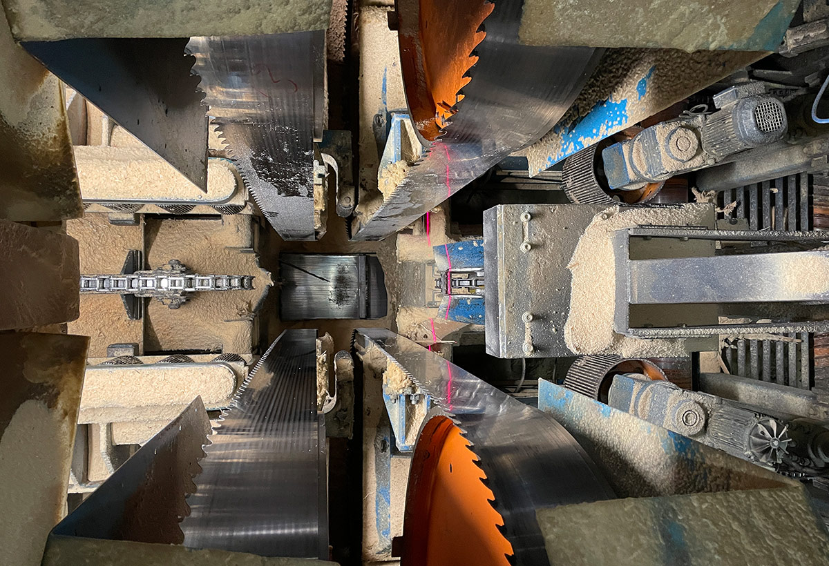 Band saw in sawline