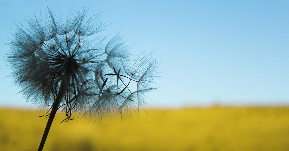 A sustainability milestone achieved